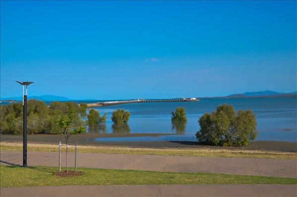 Mangroves at Front Beach