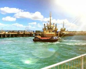 Visit our famous jetty on Port Denison